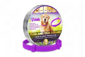 toldi collar antipulgas perros 2