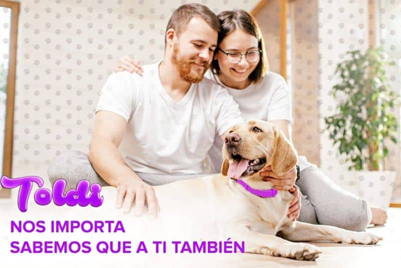 collar antipulgas toldi