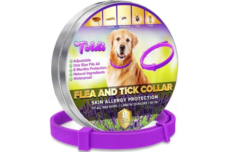 toldi collar antiparasitario para perro