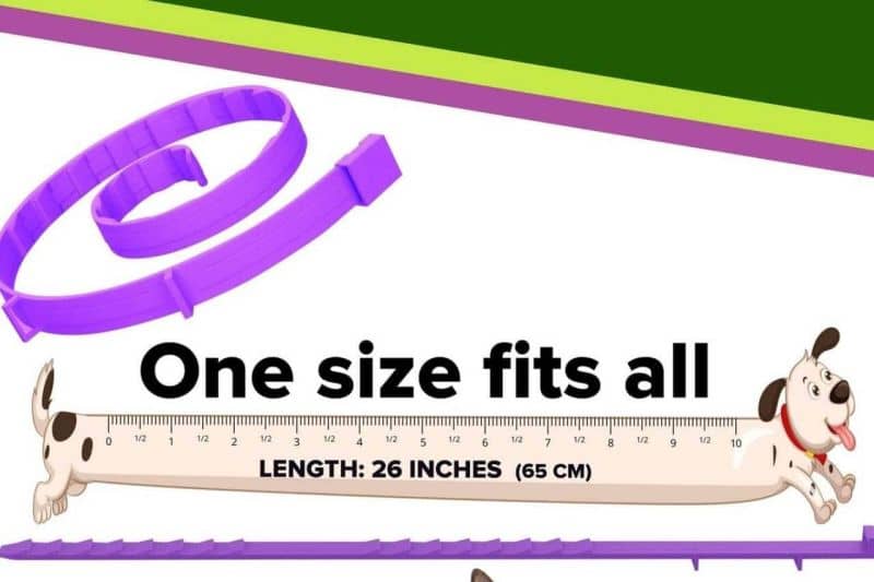 toldi collar repelente perros 65cm 1