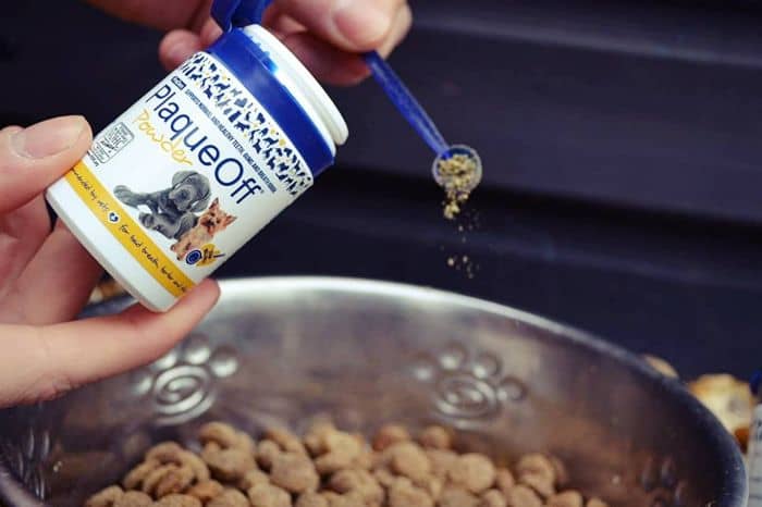 plaqueoff para perros quita sarro