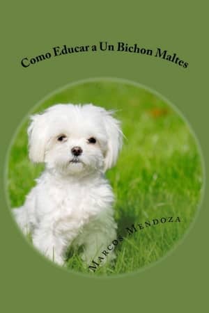 7 Mejores libros para Educar Tu Perro Bichón Maltés: Guía Especial 12 Como Educar a Un Bichon Maltes