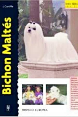 libro bichon maltes excelence juliette Cunliffe