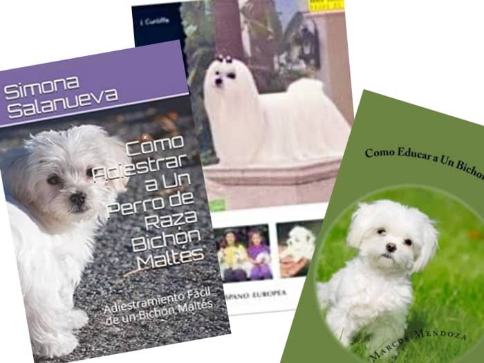 7 Mejores libros para Educar Tu Perro Bichón Maltés: Guía Especial 1 mejores libros perro bichon maltes