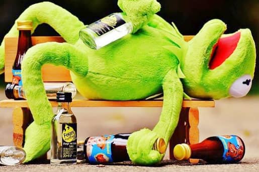 13+ Alimentos prohibidos para tu Bichón Maltés 17 bebidas alcohólicas alimentos prohibidos bichon maltes