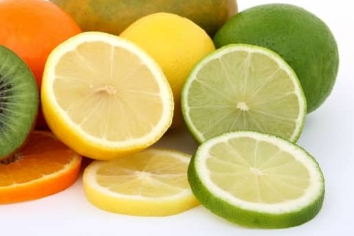 13+ Alimentos prohibidos para tu Bichón Maltés 8 citricos alimentos no recomendables para perros