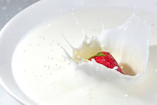 13+ Alimentos prohibidos para tu Bichón Maltés 16 productos lacteos no recomendables para bichon maltes