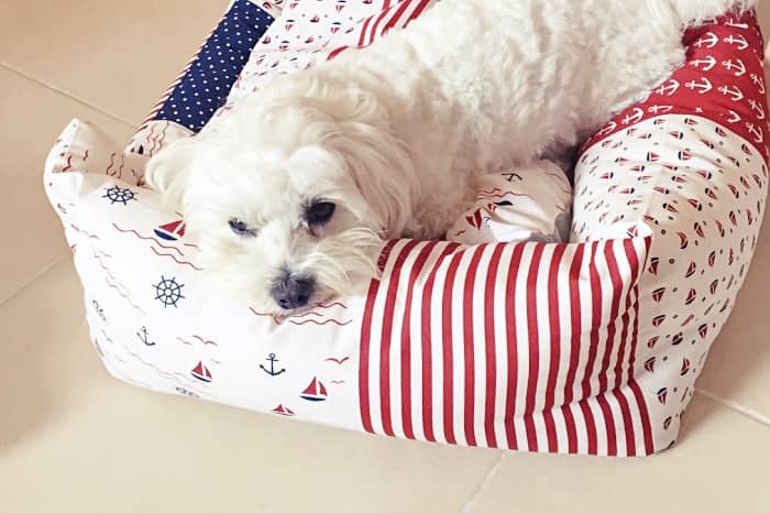 Top 10 Mejores camas para Bichón Maltés: Comparativa especial 1 mejores camas para perro Bichón Maltés