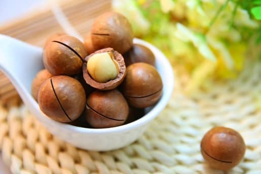 13+ Alimentos prohibidos para tu Bichón Maltés 5 nuezes alimentos malos para bichon maltes perro