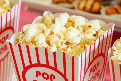 13+ Alimentos prohibidos para tu Bichón Maltés 9 palomitas