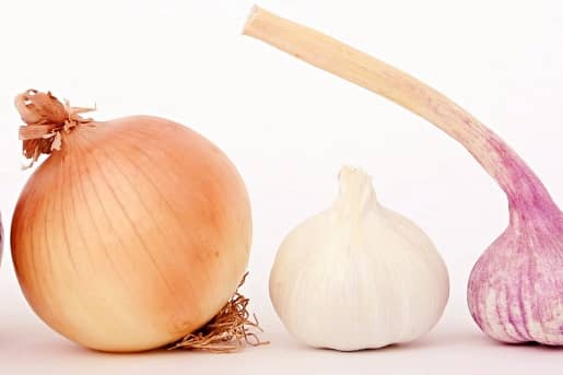 13+ Alimentos prohibidos para tu Bichón Maltés 12 verduras prohibidas perro maltes