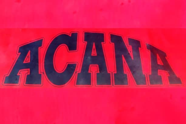 Mejores Piensos Acana para Perros Pequeños: Guía Especial 1 piensos acana perros