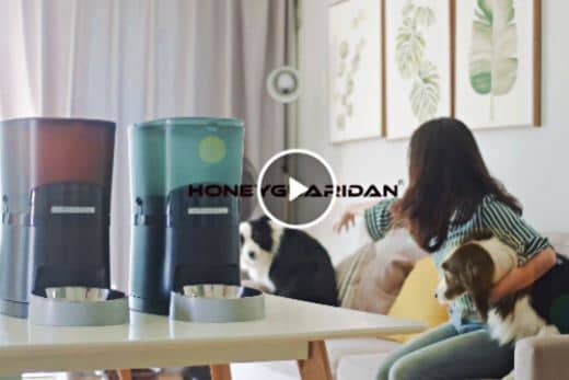 HoneyGuaridan: el mejor Comedero Automático Doble para perros 11 como-programar-comedero-automatico-honeyguaridan