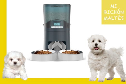 HoneyGuaridan: el mejor Comedero Automático Doble para perros 1 honeyguaridan mejor comedero automático para perros