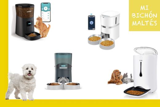 Top 10 Mejores Comederos Automáticos para perros y gatos 4 mejores comederos-automaticos para perros gatos