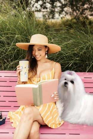 Bichón Maltés Toy: Información y Curiosidades 16 toy bichon maltes