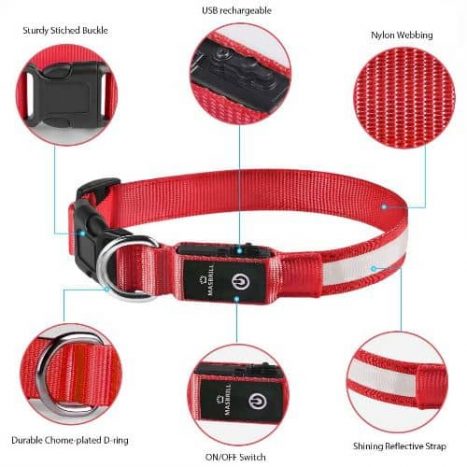 caracteristicas collar led para perro masbrill