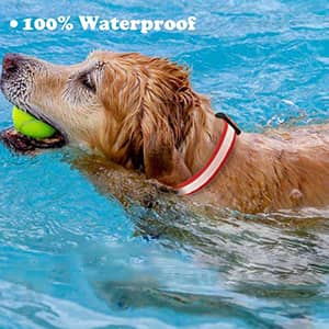 fb1a3c86 f002 44c0 8fec 1085ad97e6cf. CR00300300 PT0 SX300