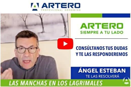 Pretty Eyes Artero: el mejor limpiador de ojos para perros-Review y opiniones 7 video-tutorial-causas-lagrimal-perros-tratamiento