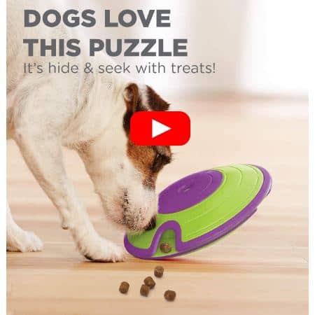 5 Mejores Comederos Interactivos para Perros Pequeños 9 dispensador-recompensas-para-perros