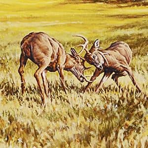 pienso-para-perros-mini-taste-of-wind-con-venado-comprar