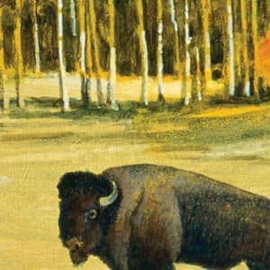 Pienso Taste of the Wild High Prairie Bisonte: Review y Opiniones 2 pienso-wild-High-Prairie-con-bisonte-para-perros comprar