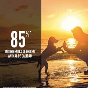 Pienso Orijen Puppy: el Alimento Nº 1 para Cachorros 2 que-contiene-orijen-puppy