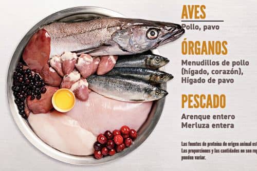 Pienso Orijen Puppy: el Alimento Nº 1 para Cachorros 5 pienso-orijen-cachorro composicion