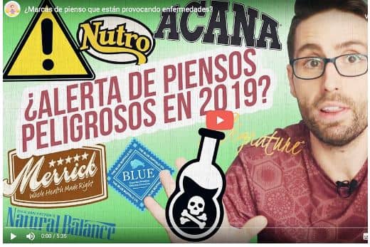 Mejores Piensos Acana para Perros Pequeños: Guía Especial 15 acana opiniones veterinarios