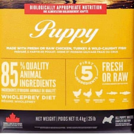 Top 5 Mejores Piensos para Cachorros de Razas Pequeñas: Comparativa 3 comprar mejores piensos orijen para cachorros razas pequeñas amazon