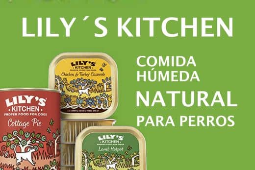 Lily´s Kitchen latas perros