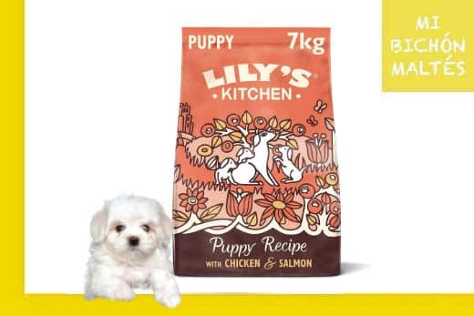 lilys kitchen puppy recipe con pollo salmon