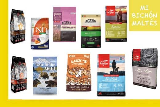 ¿Qué Come un perro Bichón Maltés?-Guía Especial de Alimentación 5 mejores piensos naturales para perros pequeños