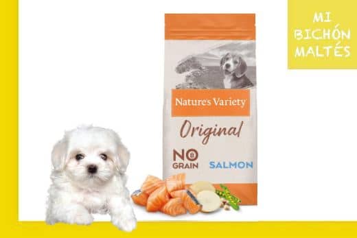 natures variety original salmon pienso para perros