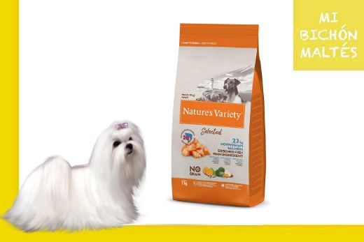 nature´s variety salmón mini pienso para perros pequeños