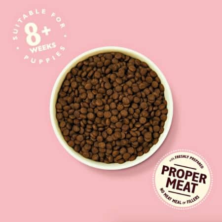 Lily´s Kitchen PUPPY: pienso natural para cachorros 3 pienso-natural-pollo-salmon-lilys-kitchen-cachorro