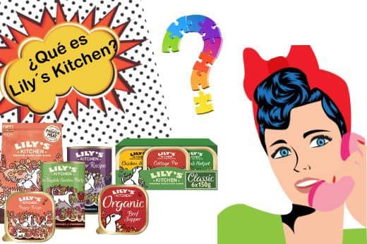 Piensos naturales Lilys Kitchen para perros 17 piensos lilys kitchen perros opiniones