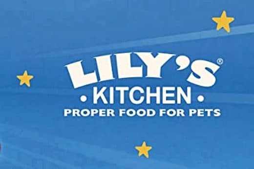 Piensos naturales Lilys Kitchen para perros 1 piensos naturales lilys kitchen para perros
