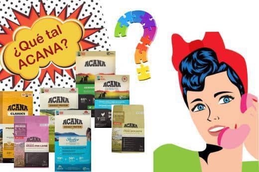 Mejores Piensos Acana para Perros Pequeños: Guía Especial 12 piensos acana perros opiniones