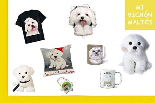 tienda merchandising bichon maltes