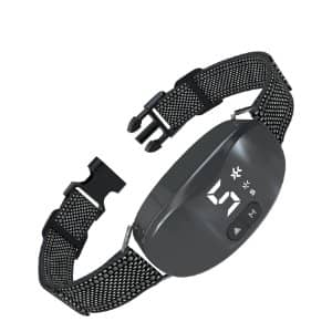 Por qué tu Perro Reclama tu Espacio o ¿Quién es Amo en tu Casa? 4 beoankit collar antiladridos perros amazon