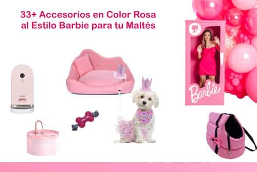 5 Cuidados Básicos que Necesita un Bichón Maltés: Guía Especial 4 33+ Accesorios en Color Rosa al Estilo Barbie para tu Maltés