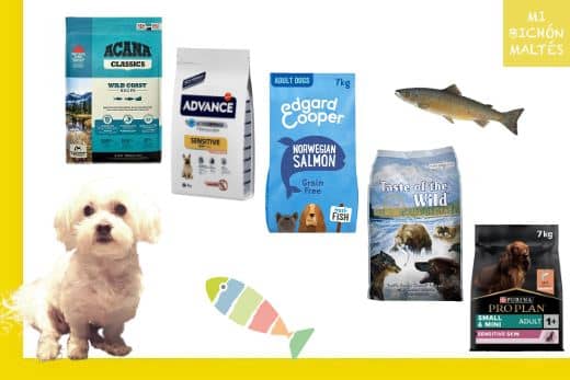 5 Mejores Piensos con Salmón para Perros Pequeños 1 mejores piensos con salmón para perros pequeños