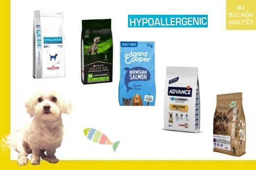 mejores piensos hipoalergénicos para perros bichón maltés