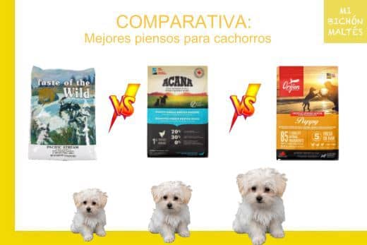 Taste of the Wild Puppy vs Acana Puppy vs Orijen Puppy