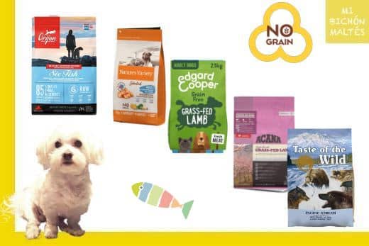 Mejores Piensos sin Cereales para Bichón Maltés 1 mejores piensos sin cereales para bichon maltes