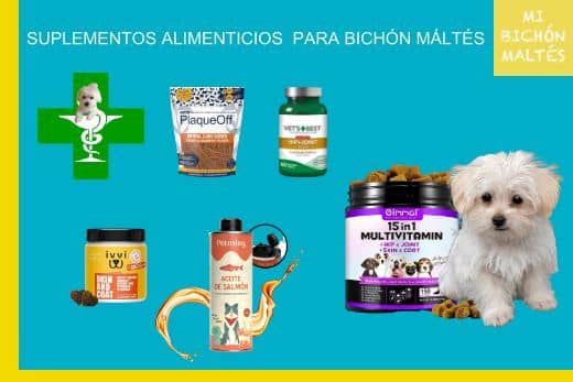 Suplementos Alimenticios: Mejora la Salud de tu Perro Bichón Maltés 1 mejores suplementos alimenticios para perros bichon maltes