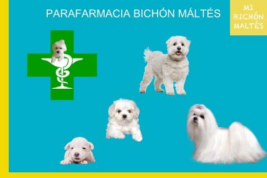 Mejores Piensos sin Cereales para Bichón Maltés 14 parafarmacia para perros bichon maltes