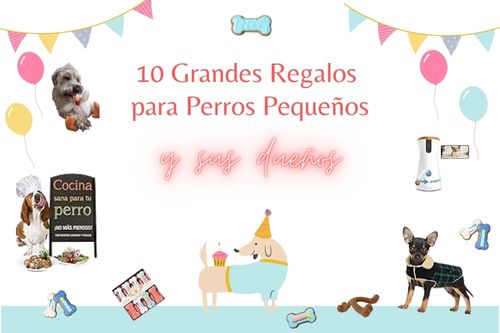 10 Grandes Regalos para Perros Pequeños de Sus Dueños 1 mejores regalos para perros pequeños