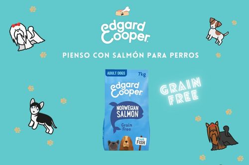 edgard cooper mejor pienso con salmón para perros pequeños